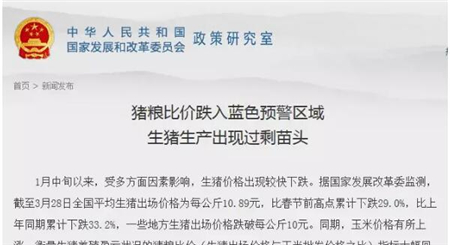 中国养猪网