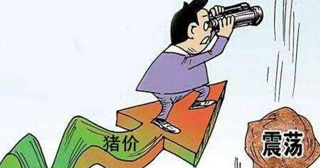 2018年的猪价跌跌不休,五一节或开始止跌回涨?