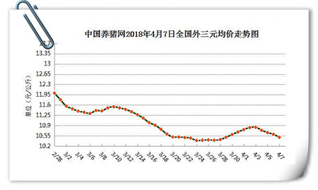 中国养猪网