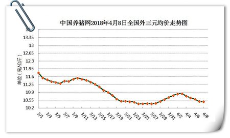 中国养猪网