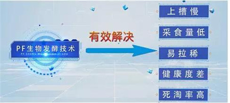 今日全国生猪内三平均价格为10.05元/公斤，较昨日下跌0.03元/公斤，外三均价为10.34元/公斤，较昨日上涨0.02元/公斤。