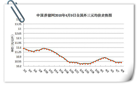 中国养猪网