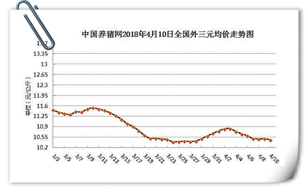 中国养猪网