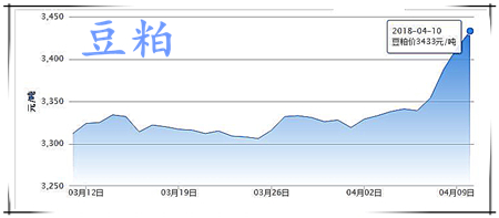 中国养猪网