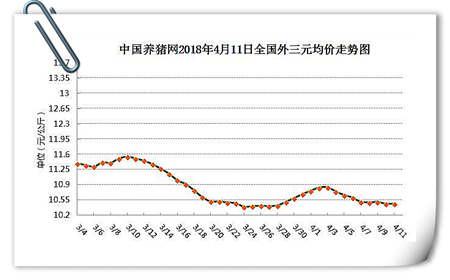 中国养猪网