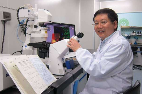 走进超市、菜市场,“土猪肉”“走地鸡”等售价更高,连打着本地散养标记的鸡蛋都卖得更贵。