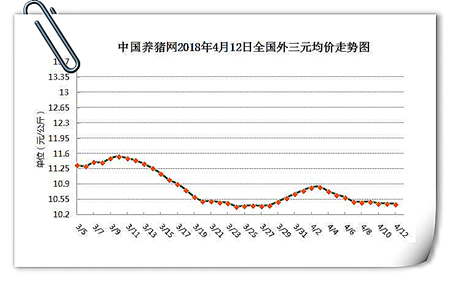 中国养猪网