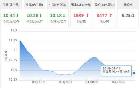 中国养猪网