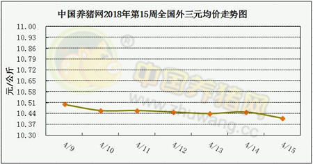 中国养猪网