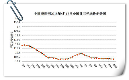 中国养猪网