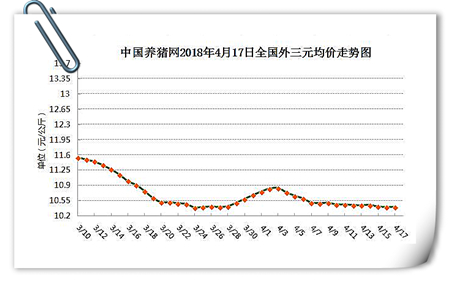 中国养猪网