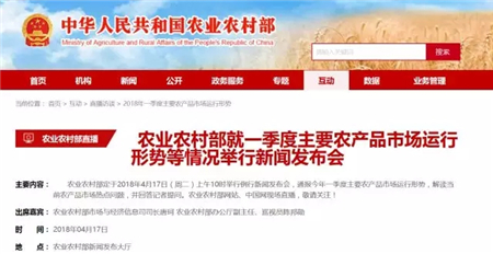 中国养猪网