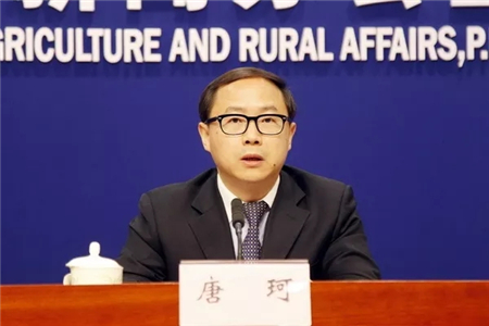 中国养猪网