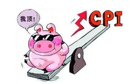 中国养猪网