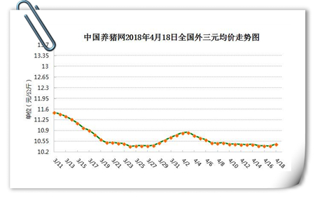 中国养猪网