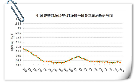 中国养猪网