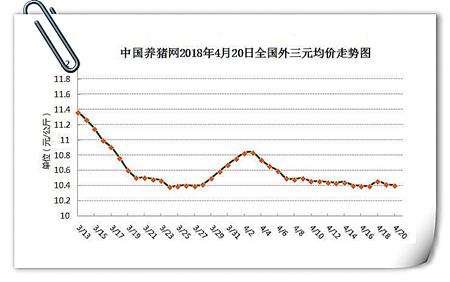 中国养猪网