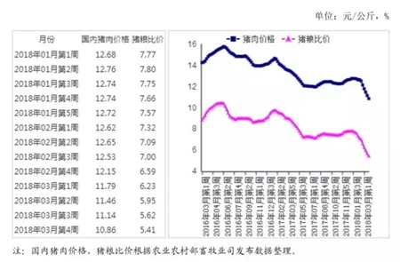 中国养猪网