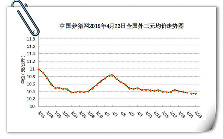 中国养猪网