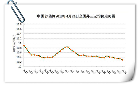 中国养猪网