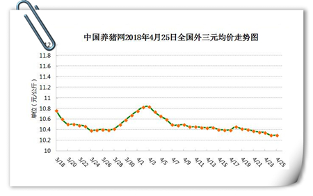 中国养猪网