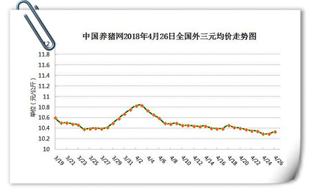 中国养猪网