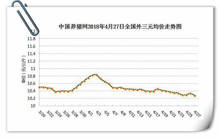 中国养猪网