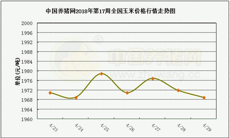 中国养猪网