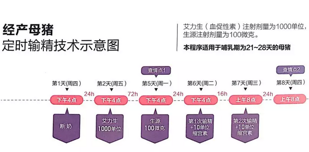 张宏 三生精准批次化