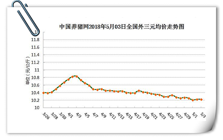 中国养猪网