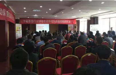 双胞胎养猪服务平台