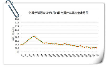 中国养猪网