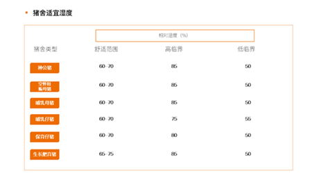 中国养猪网