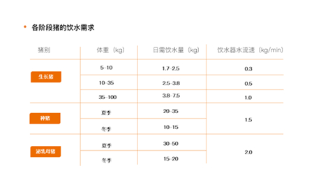 中国养猪网