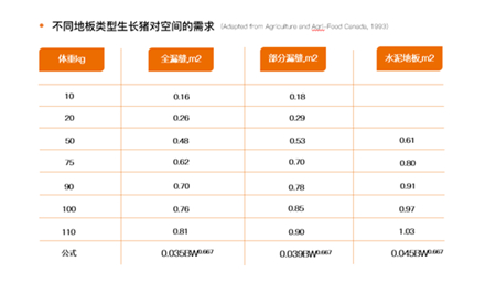 中国养猪网