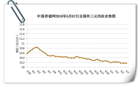 中国养猪网