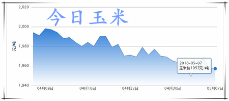 中国养猪网