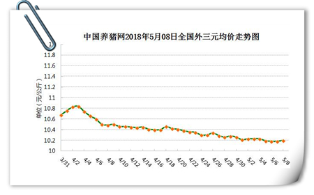 中国养猪网