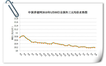 中国养猪网