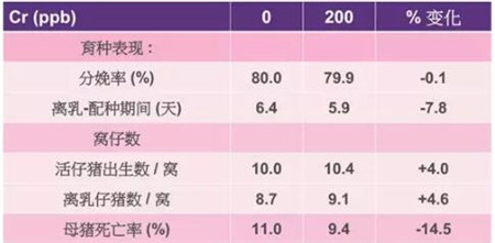 中国养猪网
