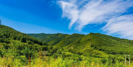 明晰的产权就如高速运转的陀螺上那个与地面接触的尖儿，可以保证土地在实际使用或者流转过程中能够顺畅地进行。并如上游而来的肥沃泥土，滋养乡村现代经济蓬勃生长。