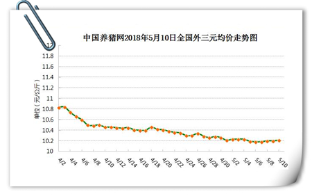 中国养猪网