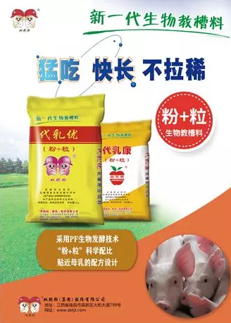 目前，养猪业已进入全面亏损时期，养户辛辛苦苦把猪养大，却只能含泪出售，多卖一头就得多亏2、3百，让人无法接受。