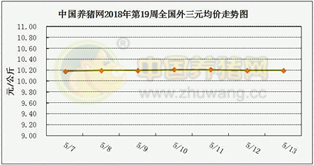 中国养猪网