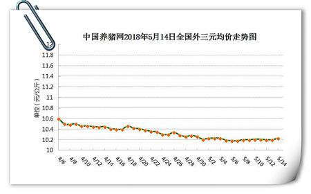 中国养猪网