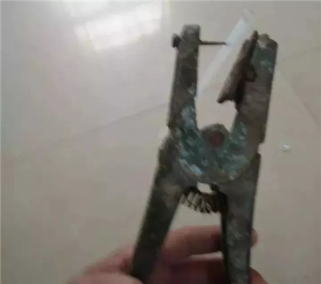 中国养猪网