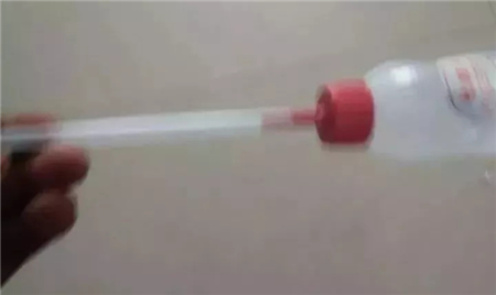 中国养猪网