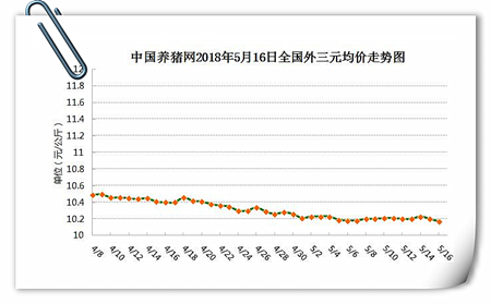 中国养猪网