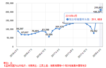 中国养猪网
