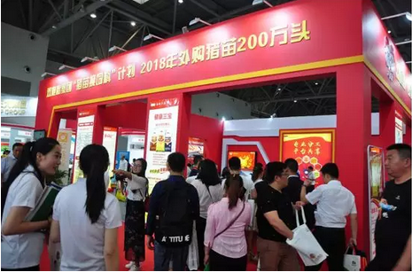 三胞胎养猪俱乐部